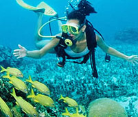 Enjoy one of the many tropical island excursions. scuba diver